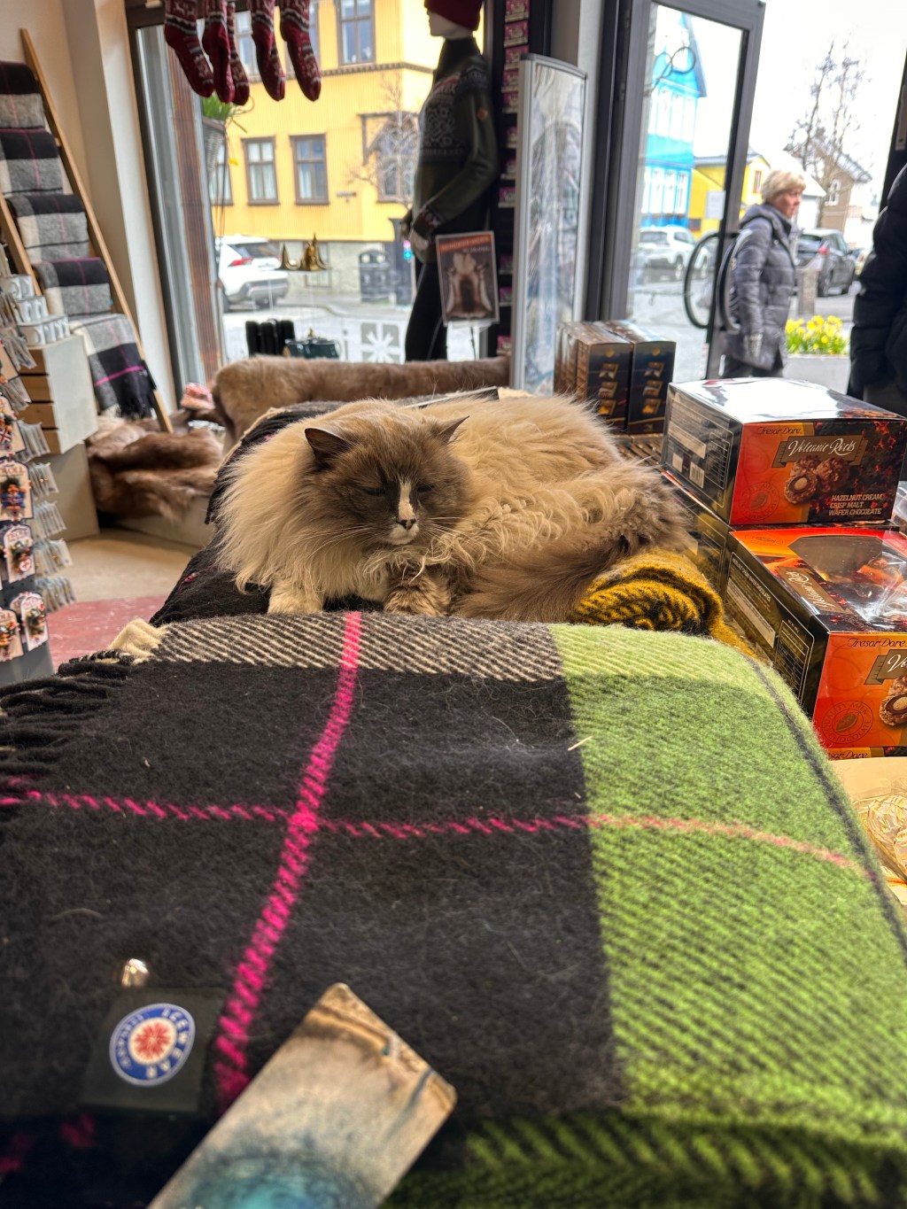 Around the town of&nbsp;Reykjavik🇮🇸