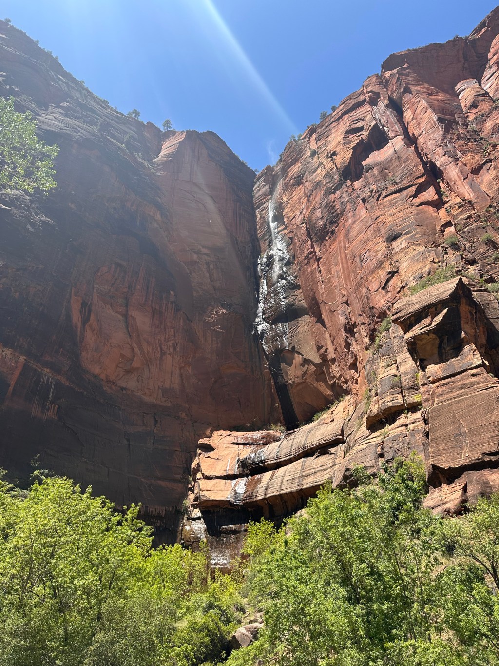 Zion National Park Wrap&nbsp;Up🇺🇸