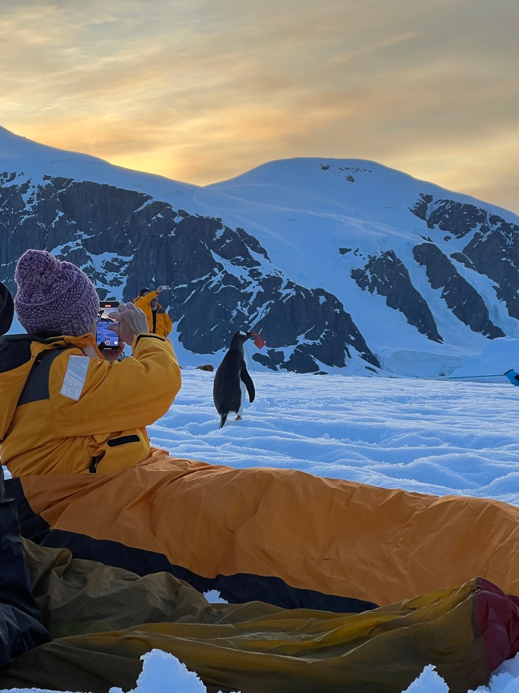 Some cool penguin videos&nbsp;🇦🇶