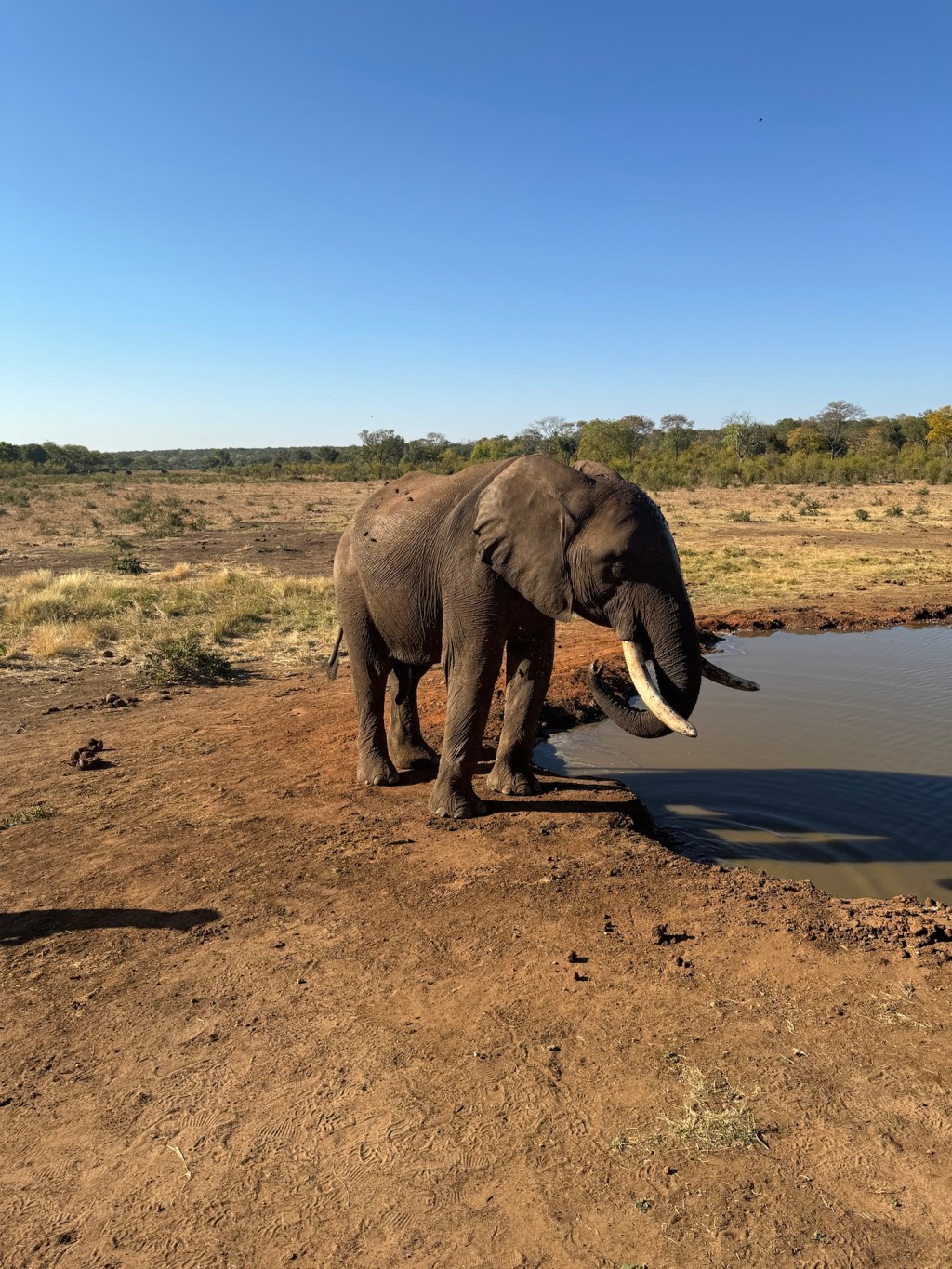 Last day in Zimbabwe and it was a good&nbsp;one!