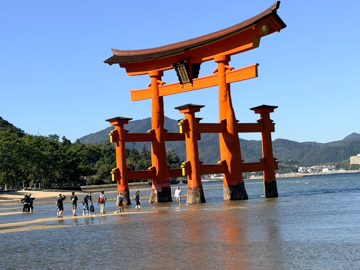 Hiroshima – our amazing morning on Miyajima Island🍋&nbsp;🦌