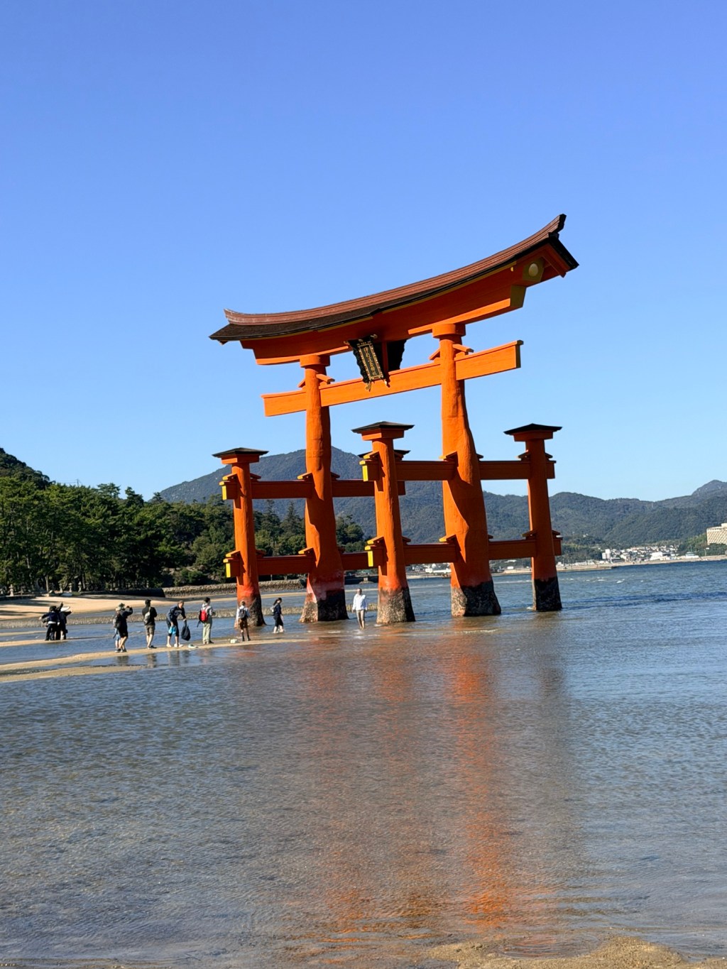 Hiroshima – our amazing morning on Miyajima Island🍋&nbsp;🦌
