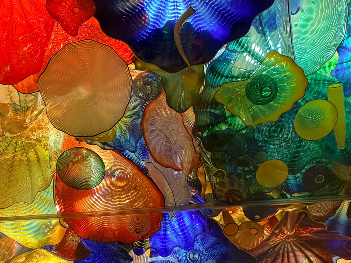 An enriching farewell in Toyama: A day of art, culinary delights, and cultural&nbsp;experiences