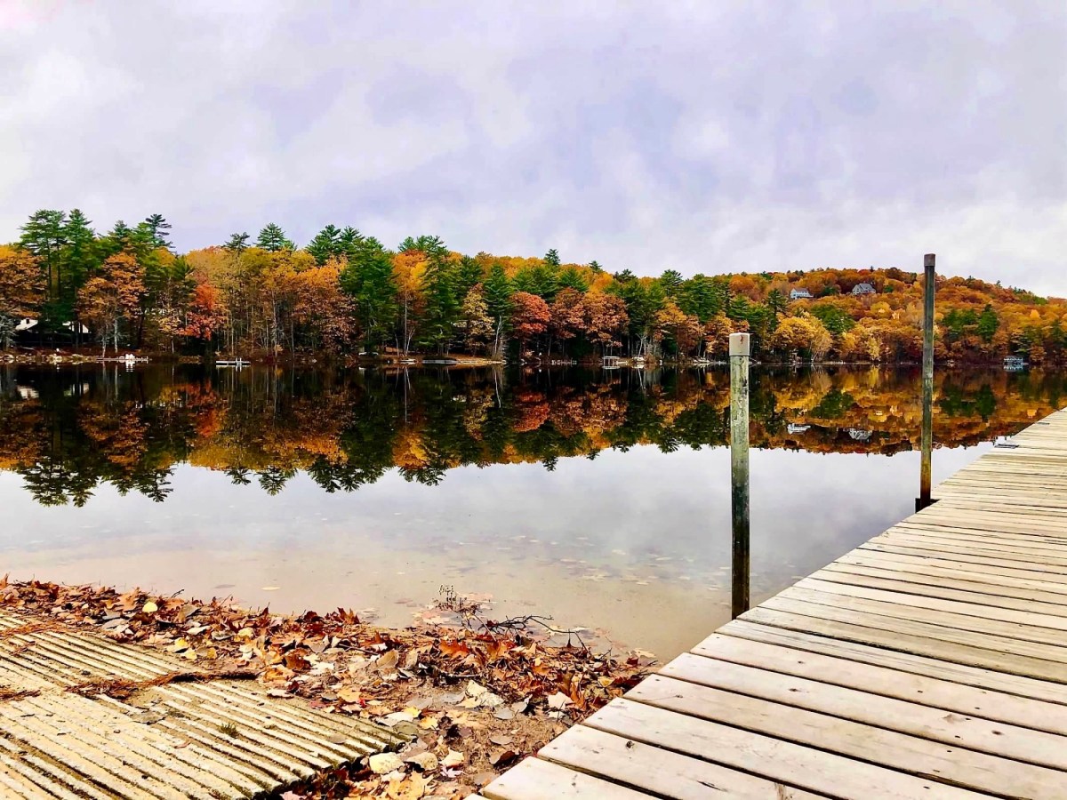 Looking back (Part&nbsp;1)